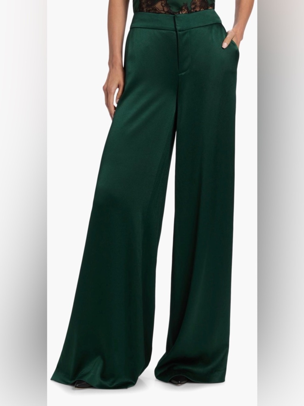 Alice + Olivia Nessi Wide-Leg Trousers. Top available for sale in size 10 & 12. - Picture 7 of 14